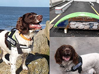 Detector Dogs Help Recover Her...